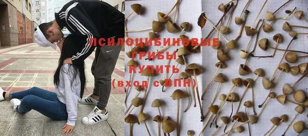 спайс Алексин