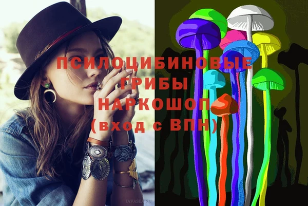 ГАЛЛЮЦИНОГЕННЫЕ ГРИБЫ Рославль
