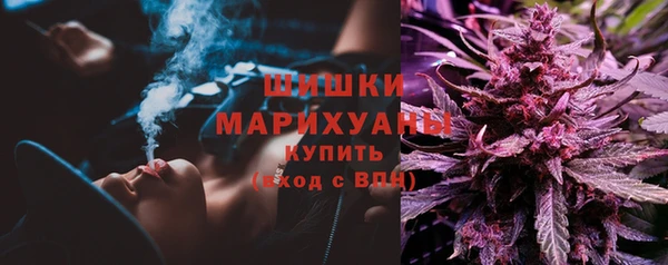 спайс Алексин