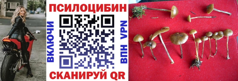 Галлюциногенные грибы мицелий  Знаменск 