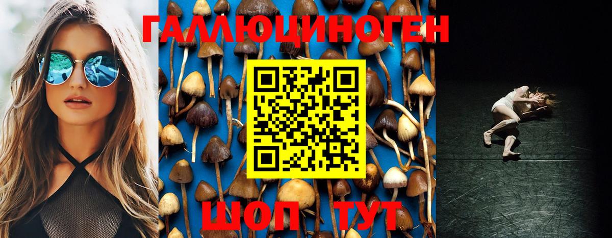 Знаменск  Псилоцибиновые грибы Psilocybine cubensis  Вход с VPN 