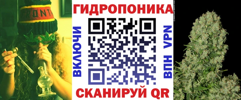 Конопля конопля  Знаменск 